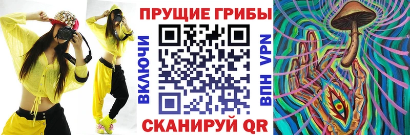 Псилоцибиновые грибы GOLDEN TEACHER  купить  сайты  Холм 