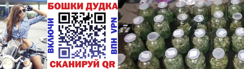 Бошки марихуана сатива Холм